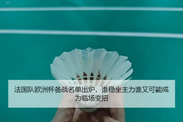 法国队欧洲杯备战名单出炉，谁稳坐主力谁又可能成为临场变招 - lansedaohang